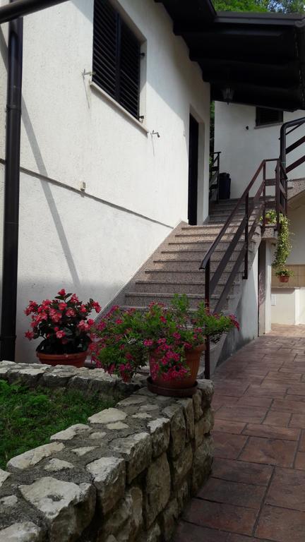 Apartman Koraca Roč Екстериор снимка